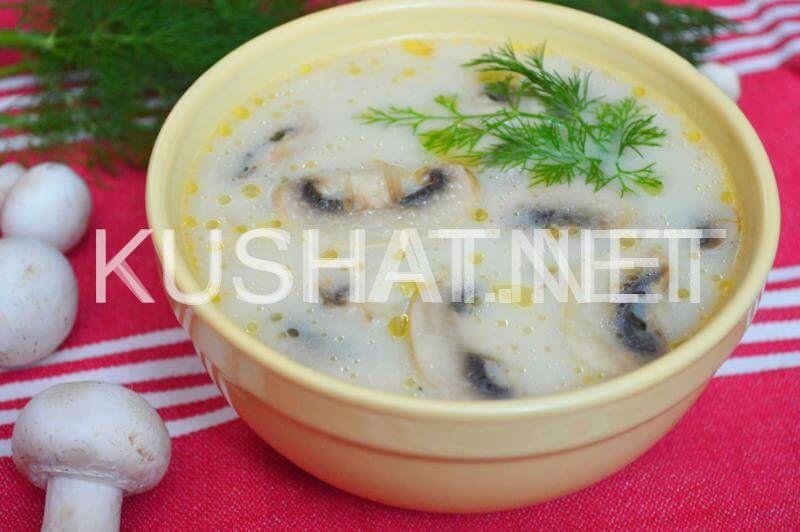 13_грибной суп с плавленым сыром