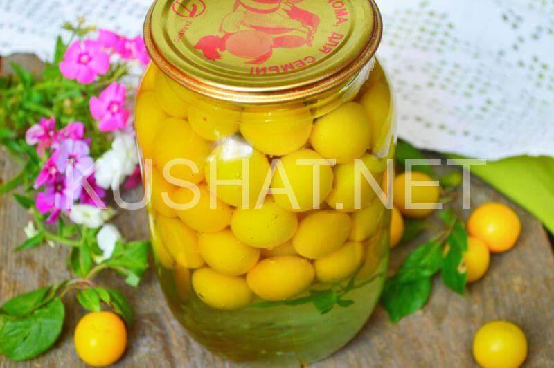 5_компот из алычи на зиму