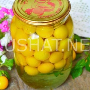 5_компот из алычи на зиму
