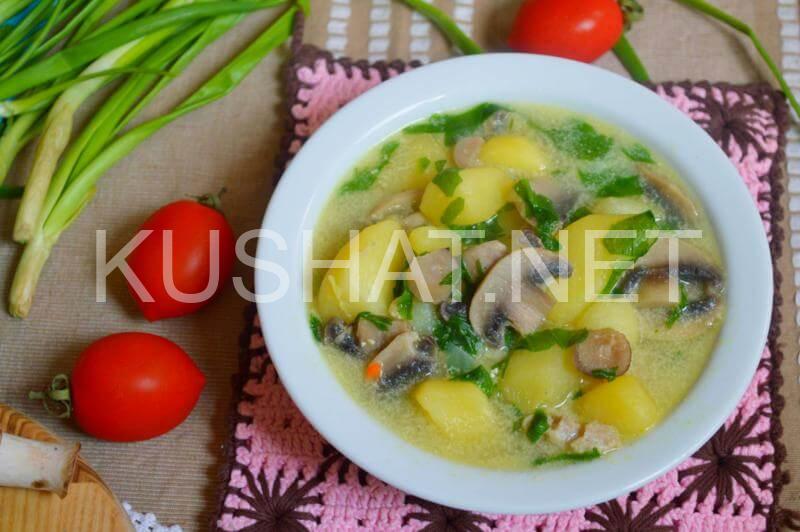 10_суп из шпината со сливками и грибами