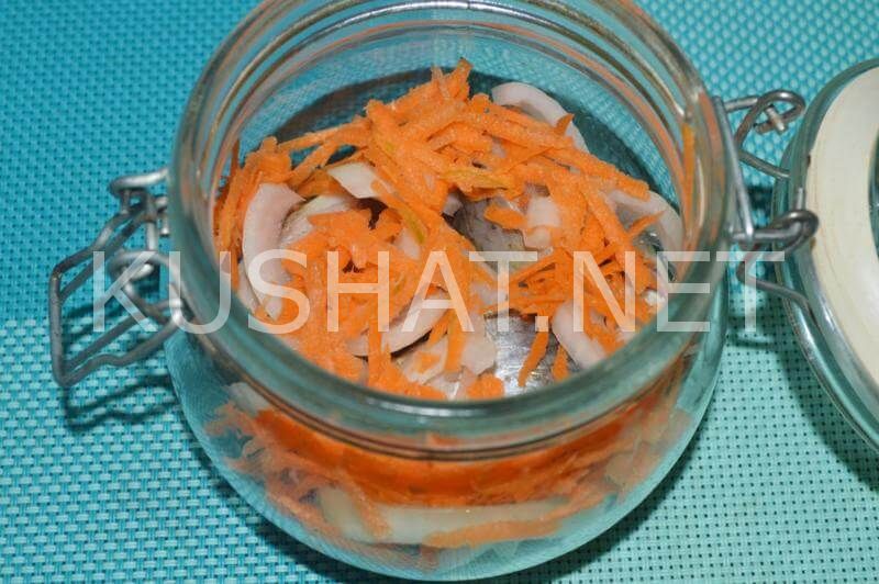 6_засолка сельди кусочками с луком и морковью