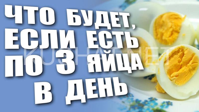 6_это произойдет с вашим телом, если вы будете есть 3 яйца в день