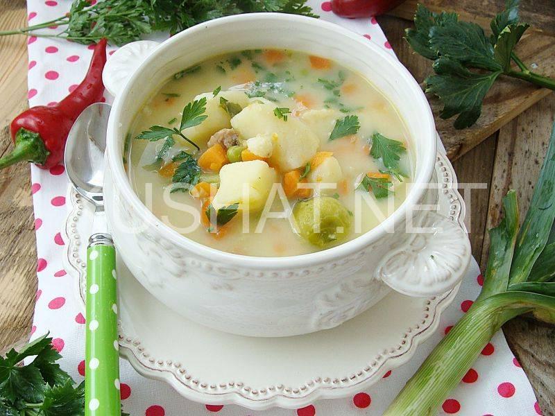 1_овощной суп с индейкой