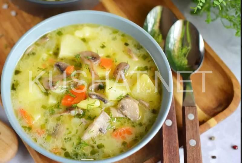 11_картофельный суп с грибами