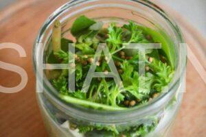 10_маринованный портулак на зиму