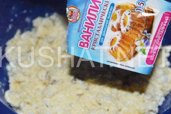 сырники из творога с изюмом 10_сырники из творога с изюмом