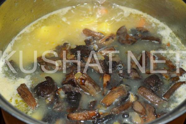 тушеная картошка с грибами 11_тушеная картошка с грибами