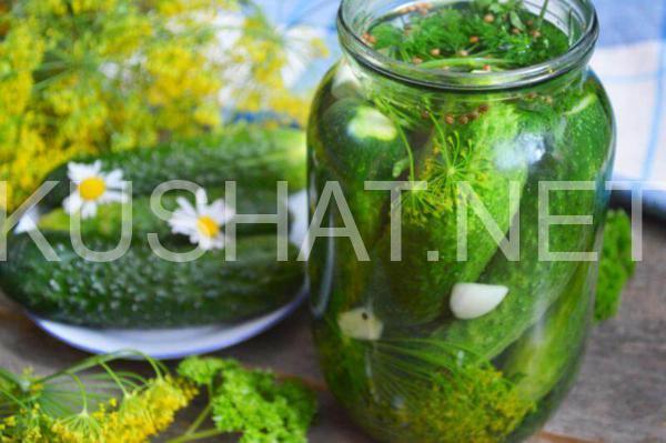 12_быстрые малосольные огурцы в банке