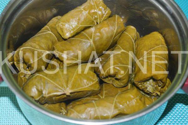 12_долма в виноградных листьях