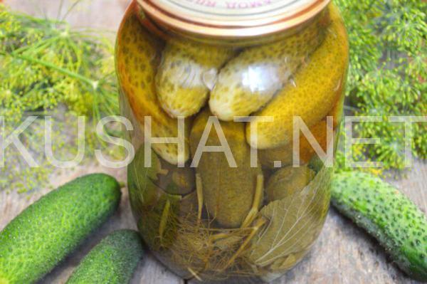 13_маринованные огурцы на зиму без стерилизации
