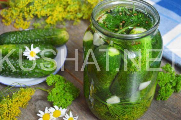 13_быстрые малосольные огурцы в банке