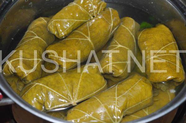13_долма в виноградных листьях