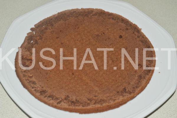 13_шоколадный торт на кефире Ноченька