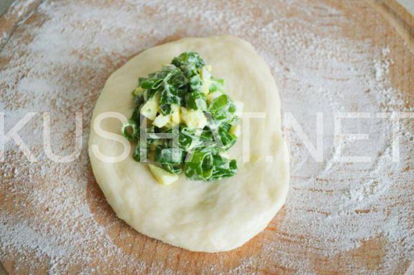 16_пирожки с яйцом и зеленым луком в духовке