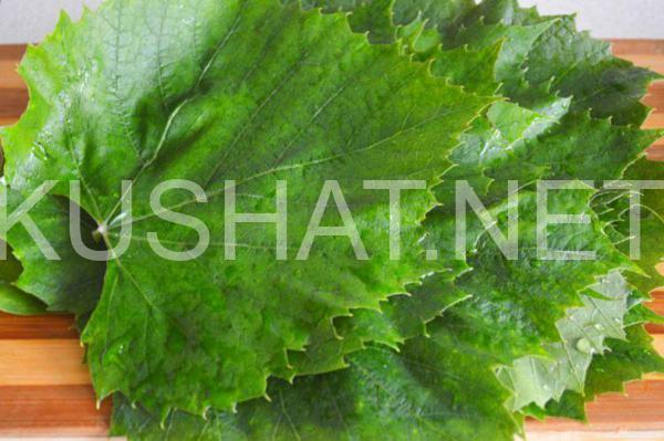 1_долма в виноградных листьях