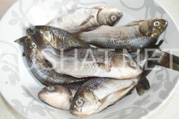 1_караси в сметане в духовке