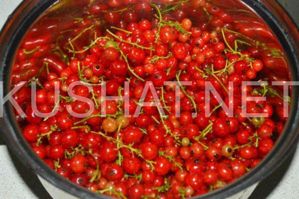 1_желе из красной смородины на зиму