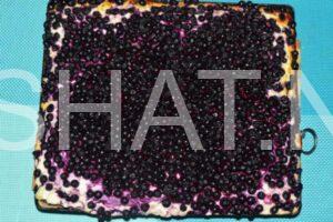 22_пирог с черникой и творогом