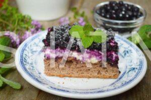 24_пирог с черникой и творогом