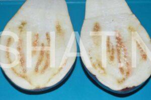 2_баклажаны, фаршированные фаршем в духовке