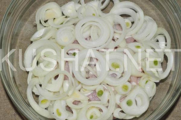 3_шашлык из свинины с майонезом и кетчупом 3_шашлык из свинины с майонезом и кетчупом