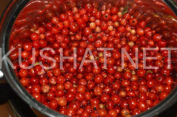 3_желе из красной смородины на зиму