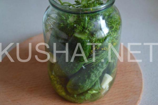 5_быстрые малосольные огурцы в банке