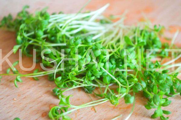 5_салат с редисом, огурцами и кресс-салатом