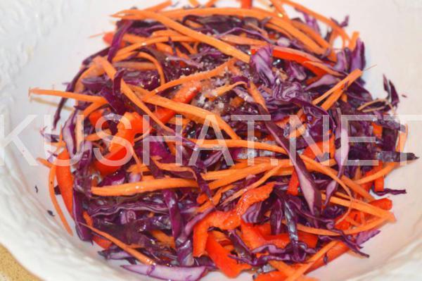 салат из краснокочанной капусты с морковью и перцем 6_салат из краснокочанной капусты с морковью и перцем