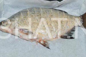 7_лещ, запеченный в духовке в майонезе с лимоном