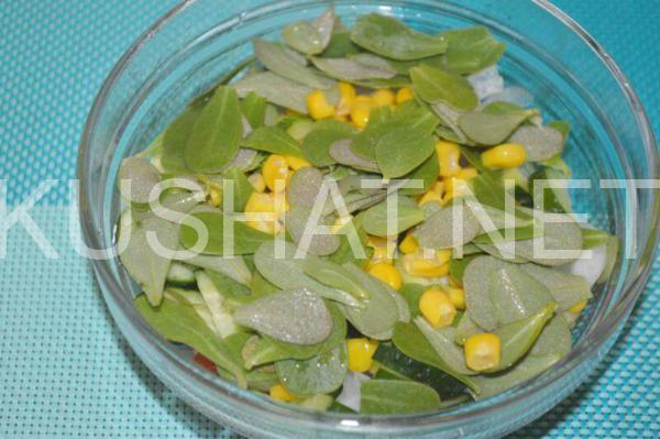 салат из портулака 7_салат из портулака