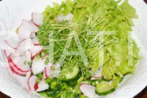 7_салат с редисом, огурцами и кресс-салатом
