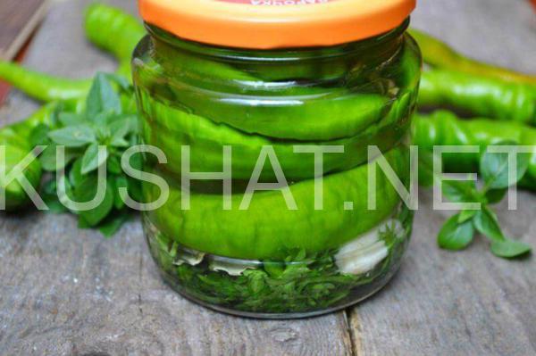 маринованный острый перец на зиму 8_маринованный острый перец на зиму