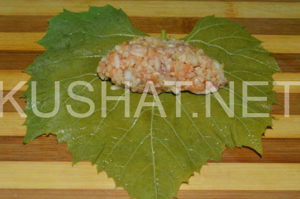 9_долма в виноградных листьях