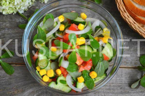 салат из портулака 9_салат из портулака